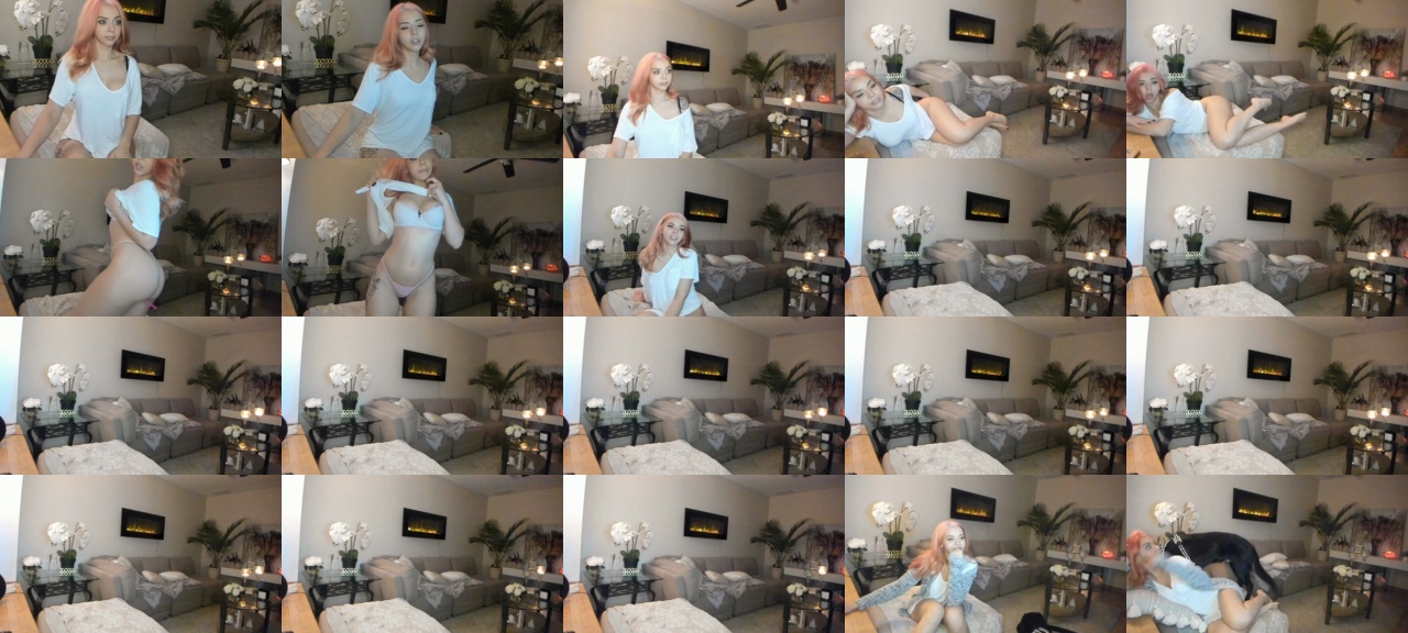 Stacimarierose  13-11-2020