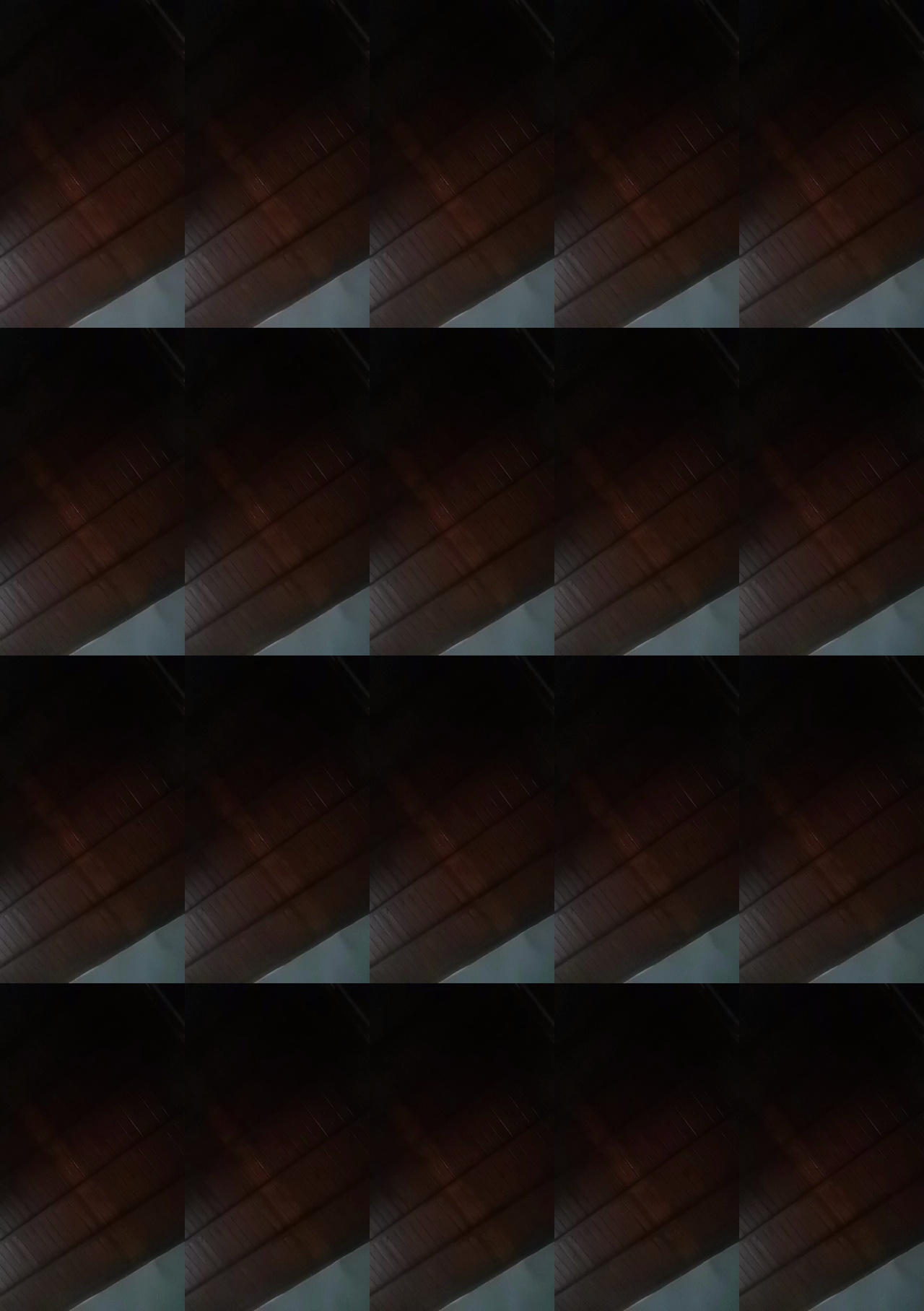 dalilacum69  29-12-2020