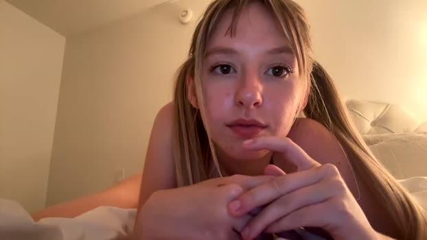 stelladepp