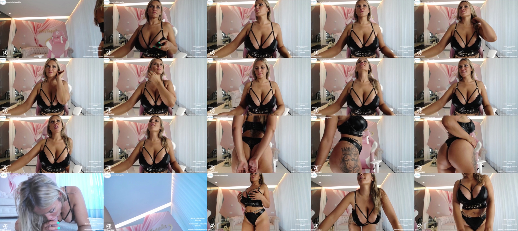 wildtequilla  21-06-2023
