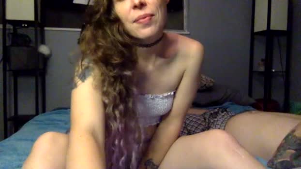zzzen_kitten  20-06-2023