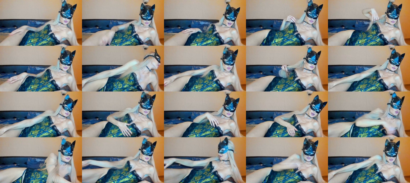 holiday_cats  24-06-2023