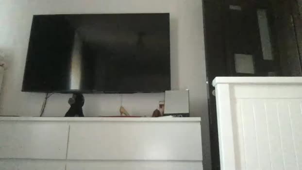 jessiexryan  26-06-2023