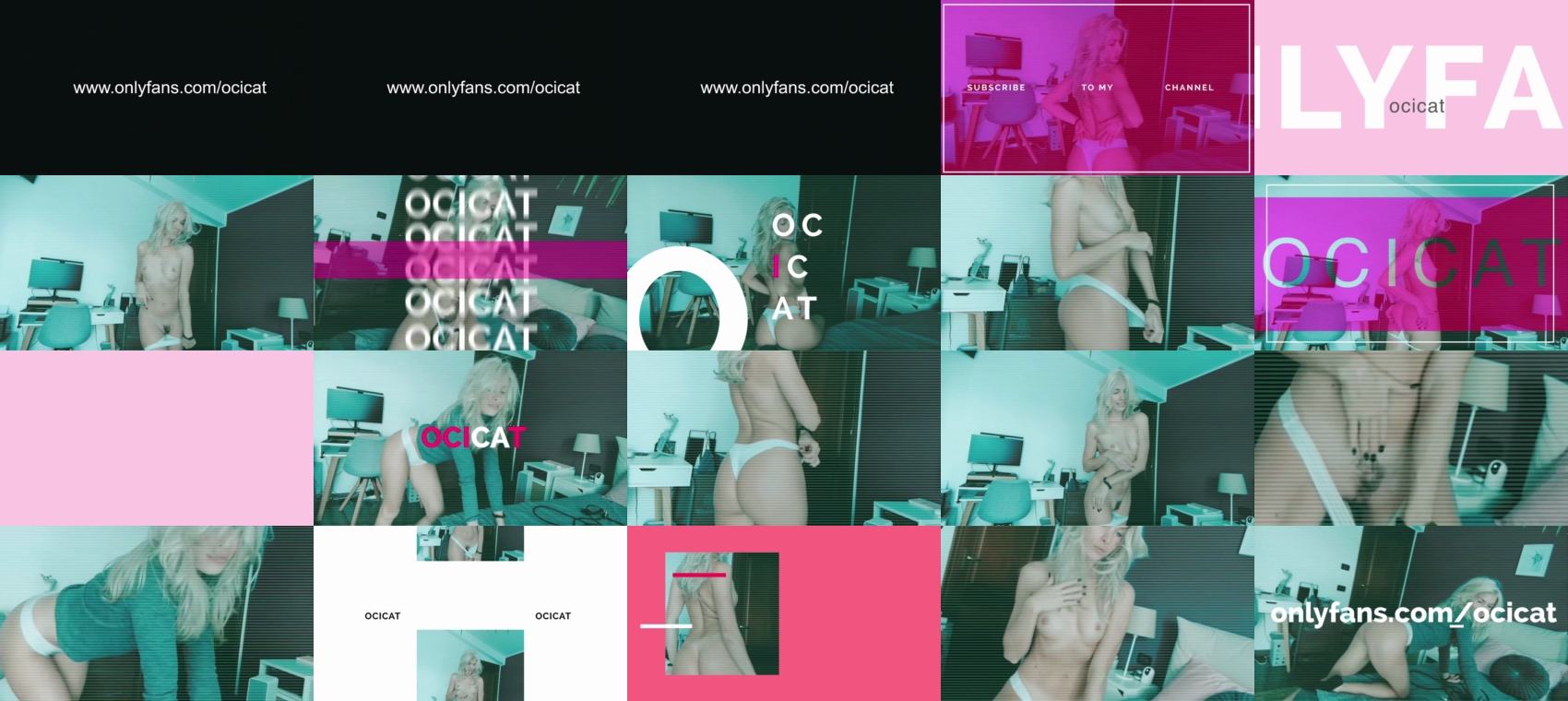 ocicat  01-07-2023