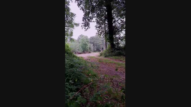 winniess40  15-07-2023