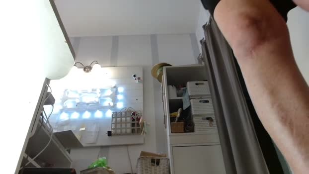 CatFetish  29-07-2023
