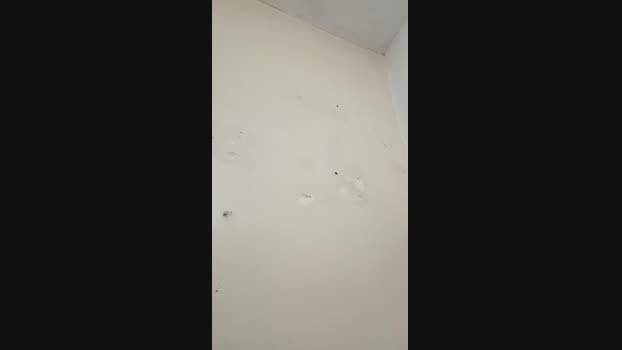 Jecikacasada  02-08-2023