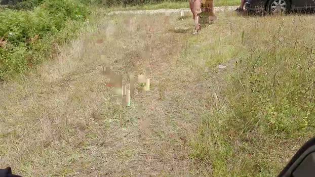 winniess40  10-08-2023