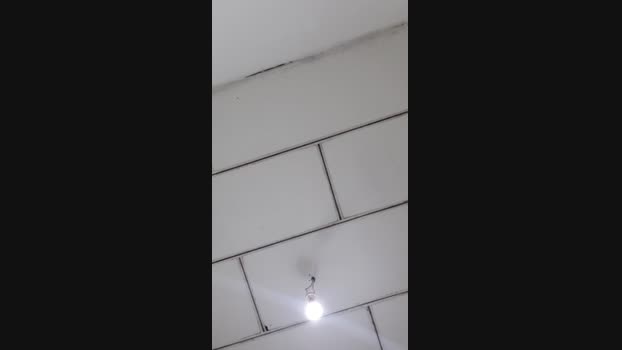 paollala  15-08-2023