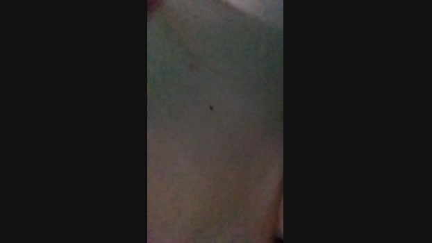 Chilena4cam  19-08-2023