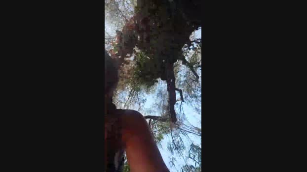 Venus_Sylla  19-08-2023