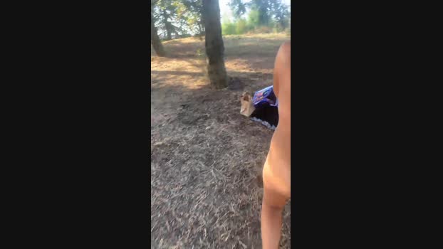 Fuckhard4you  19-08-2023