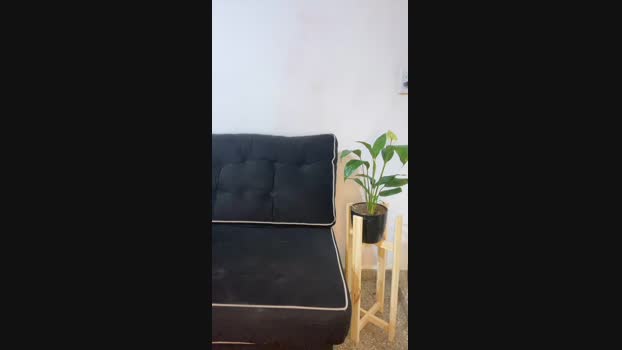Pamsexx1  22-08-2023