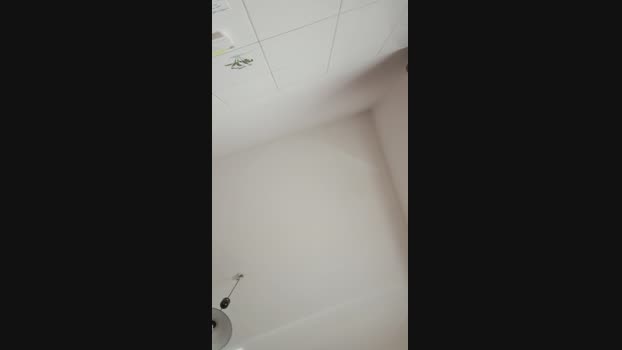 Kittenpurrr  25-08-2023