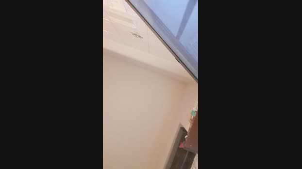 Kittenpurrr  25-08-2023