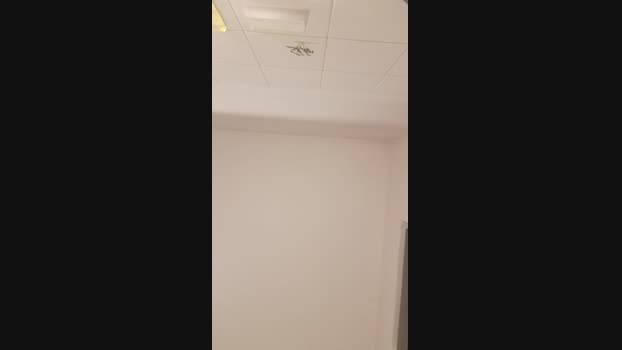 Kittenpurrr  28-08-2023