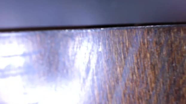sofyfoxoxy  29-08-2023