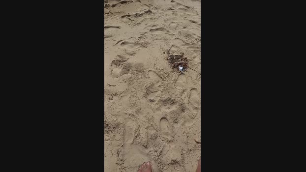 Myqueenfeet1900  31-08-2023