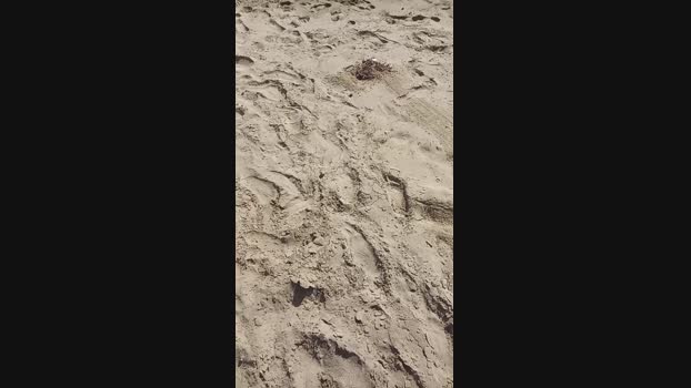 Myqueenfeet1900  31-08-2023