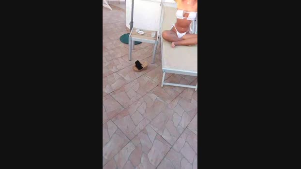 Myqueenfeet1900  31-08-2023