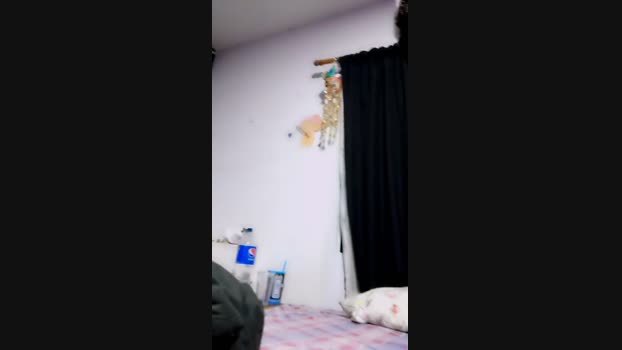 Rabitbunny  07-09-2023
