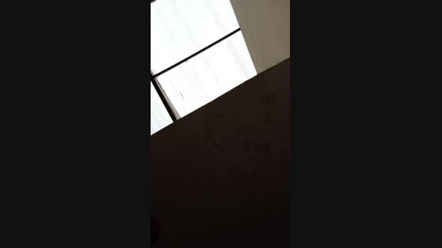 sweet_scarlett_  20-09-2023