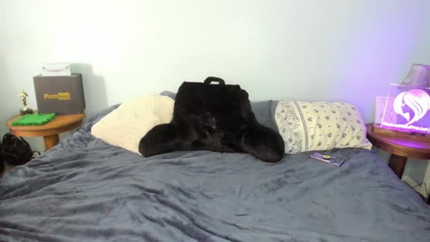 akgingersnaps  11-10-2023