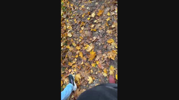 Tanjadutch  31-10-2023