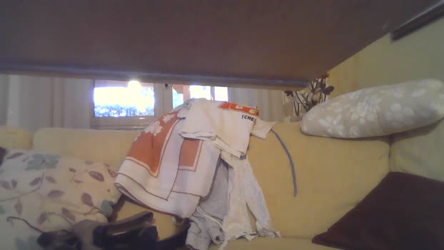 martinabigst  03-11-2023