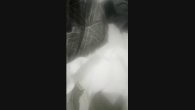 Raf1ela  04-11-2023