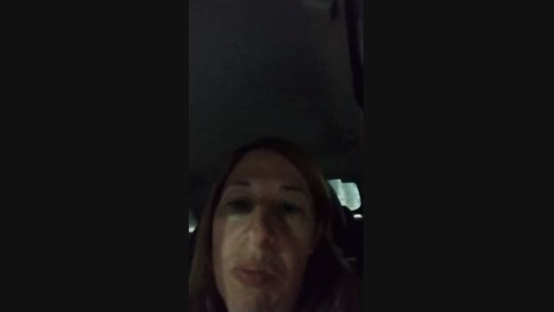 Lamichifox  06-11-2023