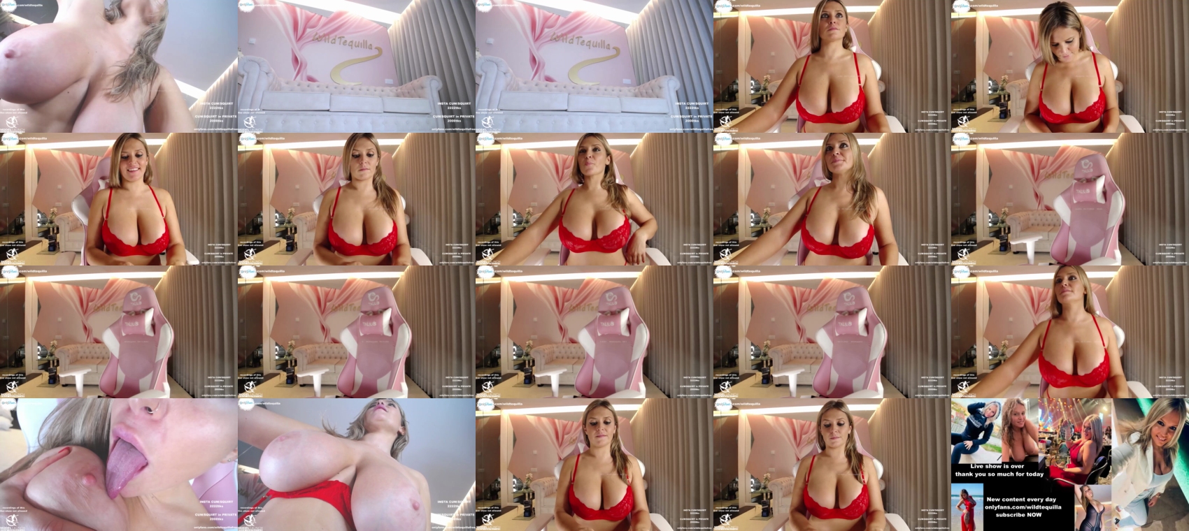 wildtequilla  09-11-2023