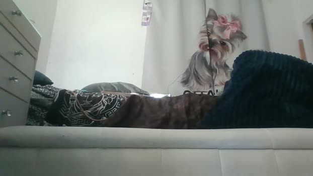 sexybigass777  12-11-2023