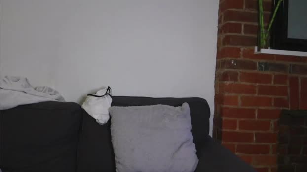 yourkinkykitty69  12-11-2023