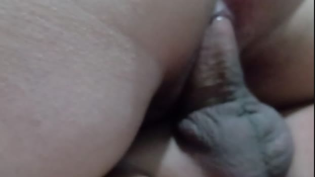 casal862  15-11-2023
