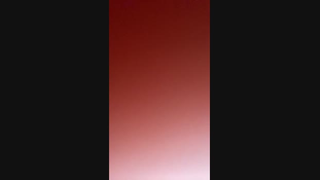 biatorres  20-11-2023