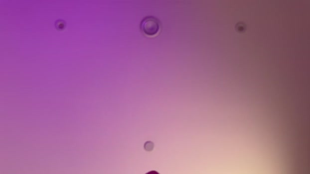 vixenp 10-12-2023