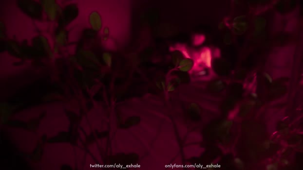 _exhale 13-12-2023