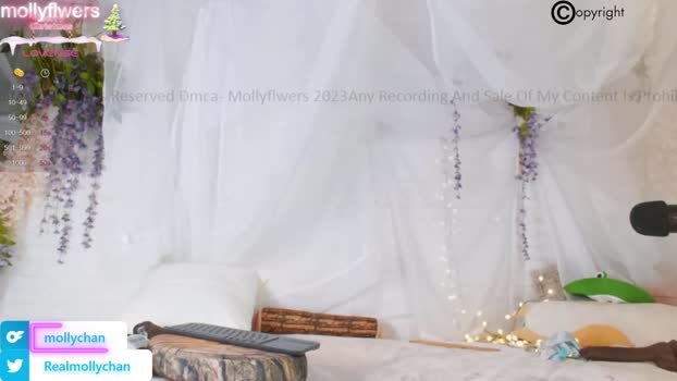 mollyflwers 26-12-2023