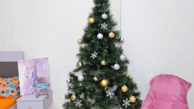 miss_algel 30-12-2023