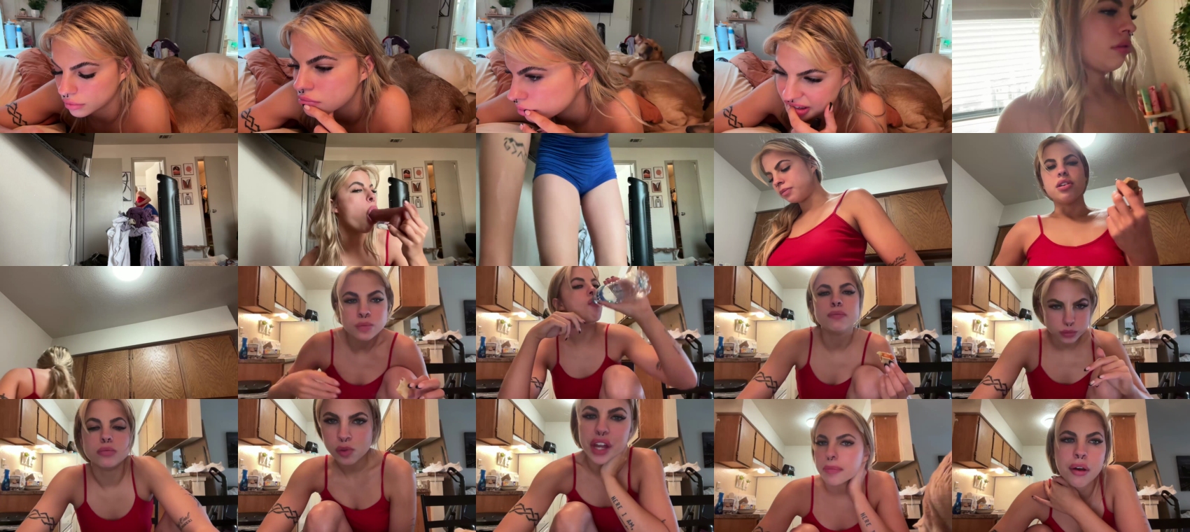 cxbraj 31-12-2023