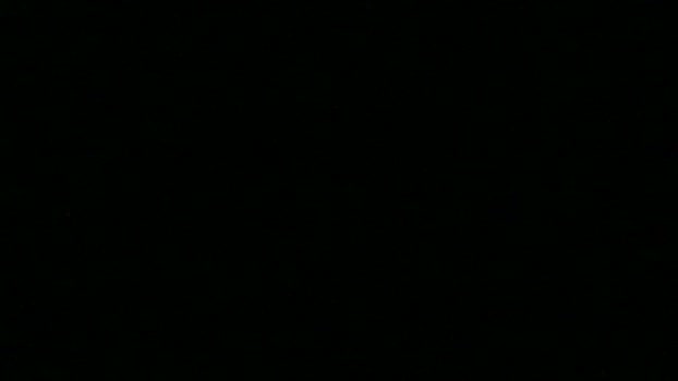 emma_walkerx 11-02-2024