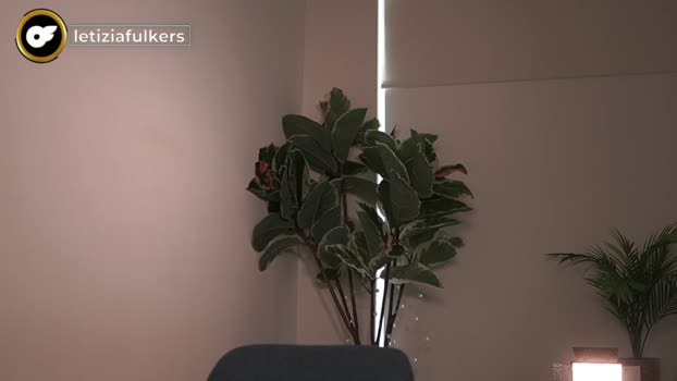 letiziafulkers1 17-02-2024