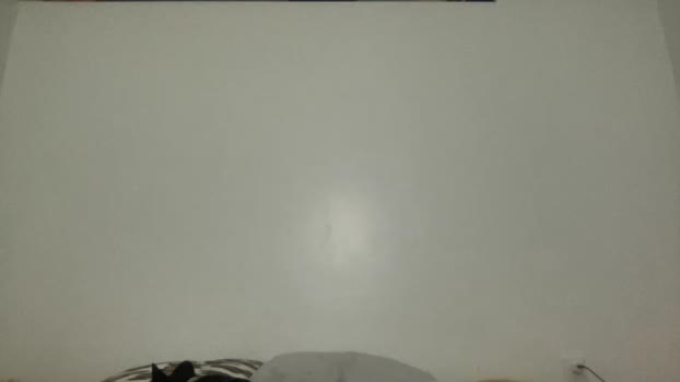 goddesscalixta 25-02-2024
