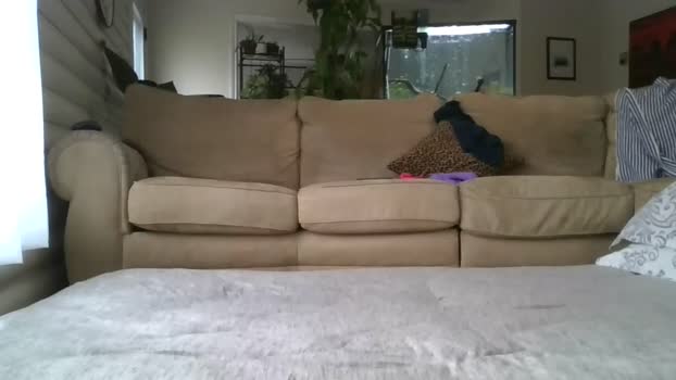 naturalwildcouple Chaturbate 22-03-2024 Couples