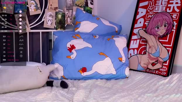 cute_fox_girl Chaturbate 24-03-2024 Females