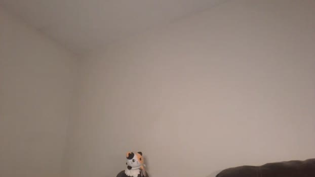 l3ray Chaturbate 02-04-2024 Couples