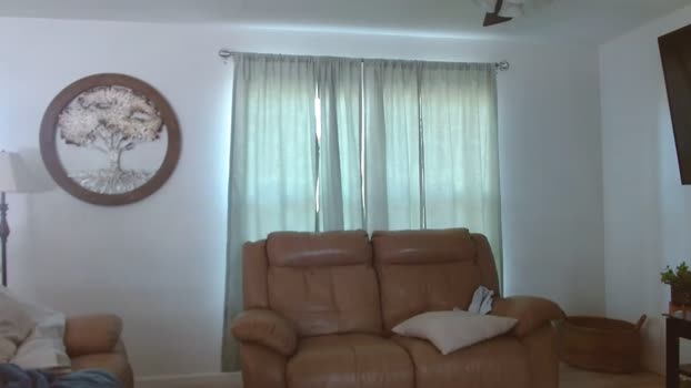 dazey1 Chaturbate 04-04-2024 Females