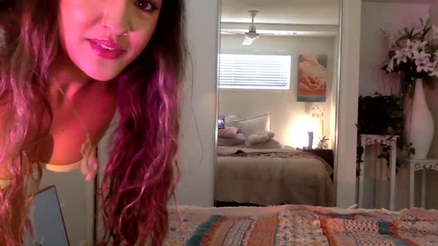 teleaevansss Chaturbate 11-04-2024 Females