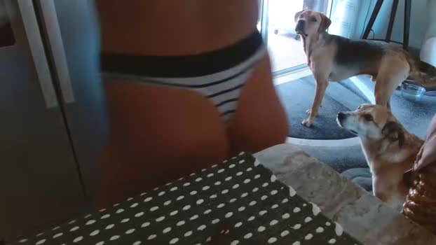 dazey1 Chaturbate 15-04-2024 Females